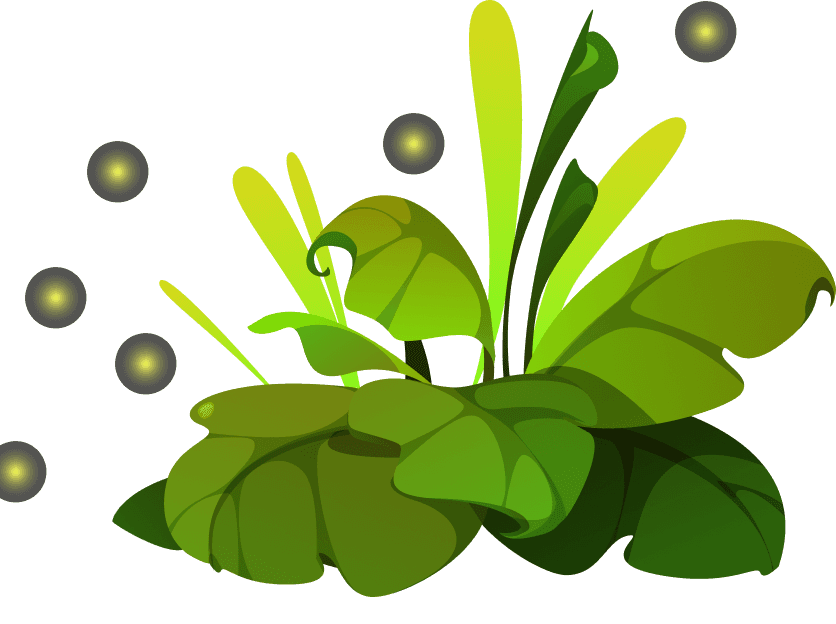 Bush